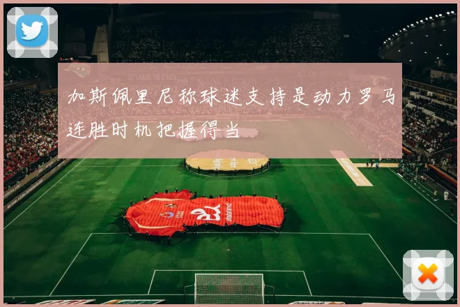 加斯佩里尼称球迷支持是动力罗马连胜时机把握得当