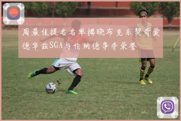 周最佳提名名单揭晓布克东契奇爱德华兹SGA与伦纳德争夺荣誉